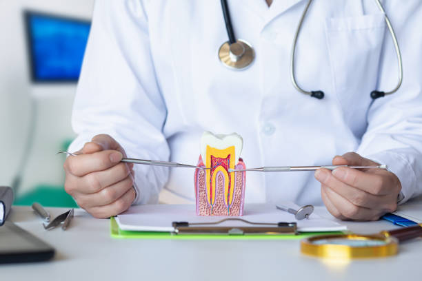 Best Emergency Root Canal Treatment in Nephi, UT